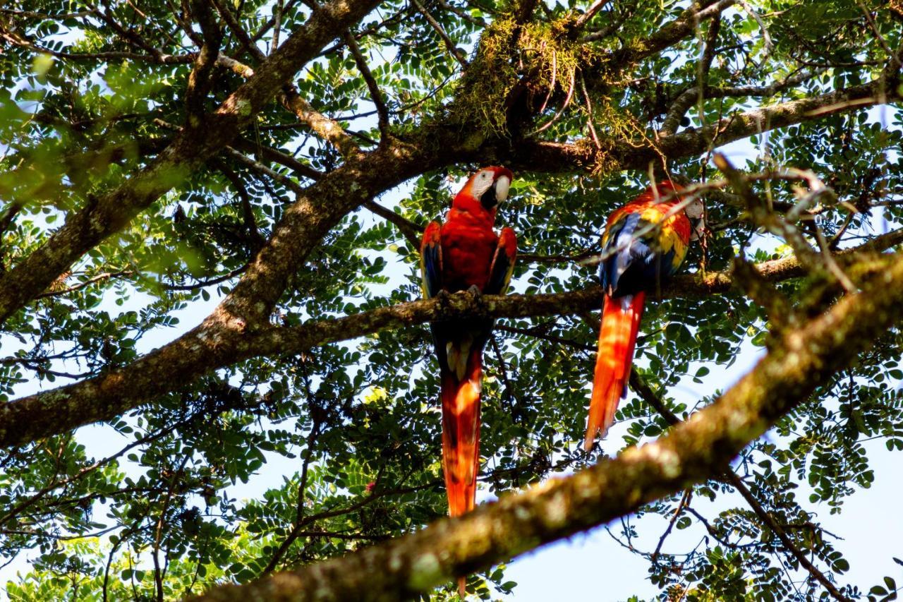 Отель Oso De Osa Сьерпе Экстерьер фото